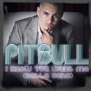 Pitbull - I know you want me (Calle ocho)