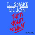 Numéro 22 cette semaine : Turn down for what de DJ Snake. La semaine dernière, il était classé 30.