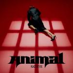 Animal - Katseye